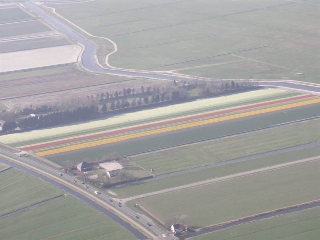 05 Bloembollenvelden