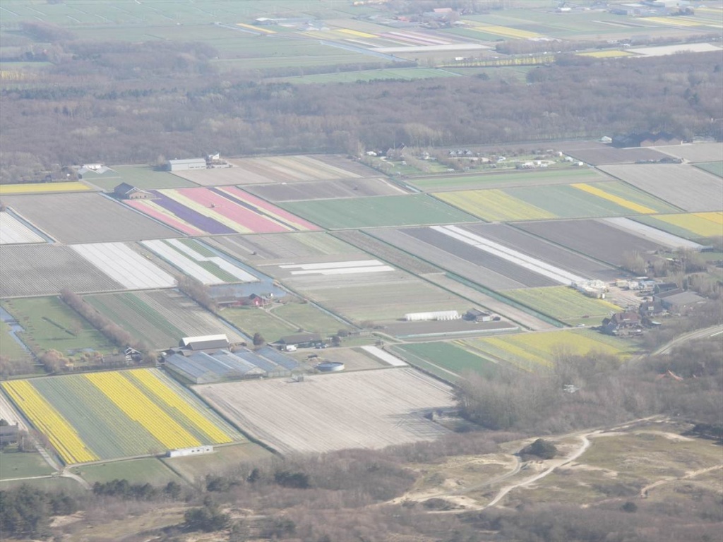 08 Bloembollenvelden