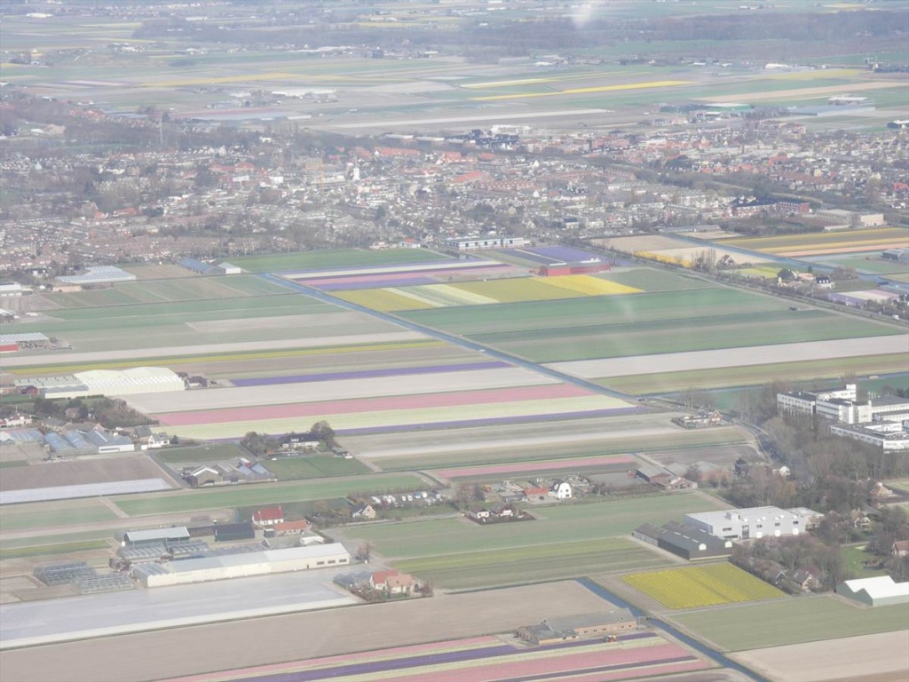 09 Bloembollenvelden