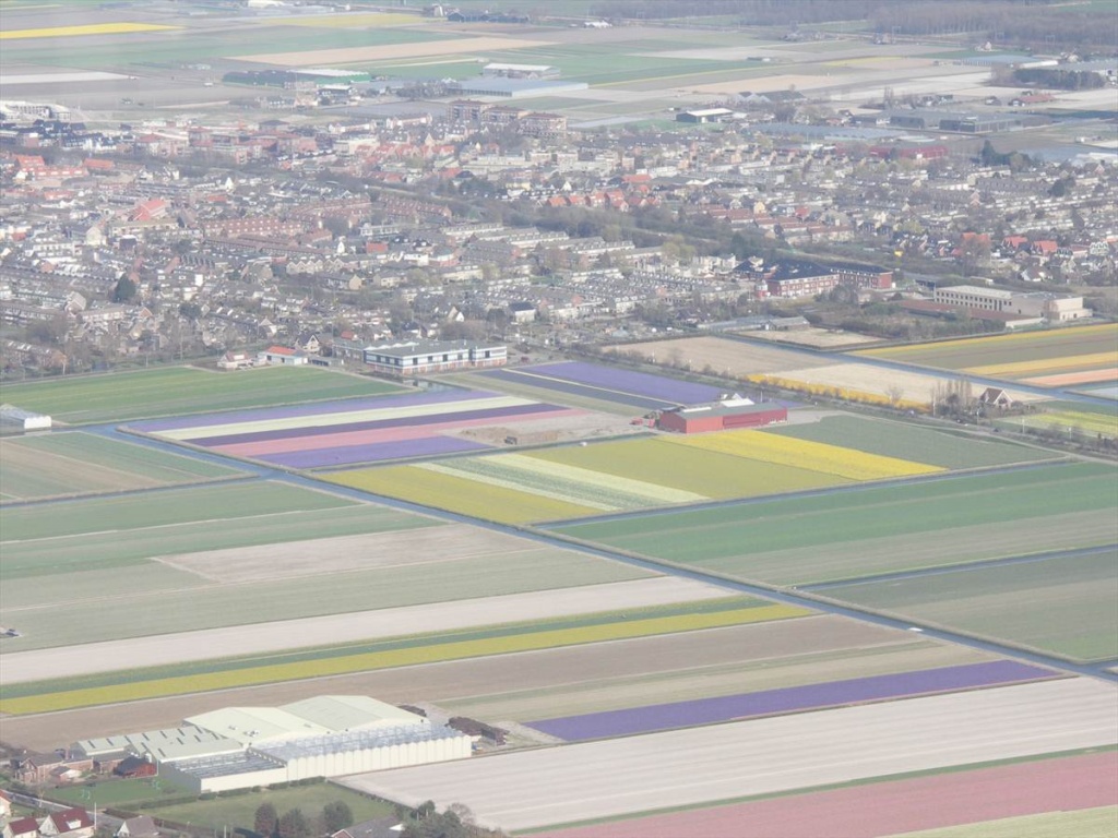 10 Bloembollenvelden