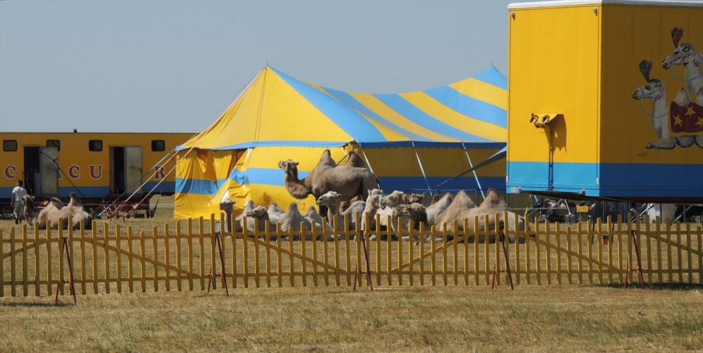 24 Circus op Ameland