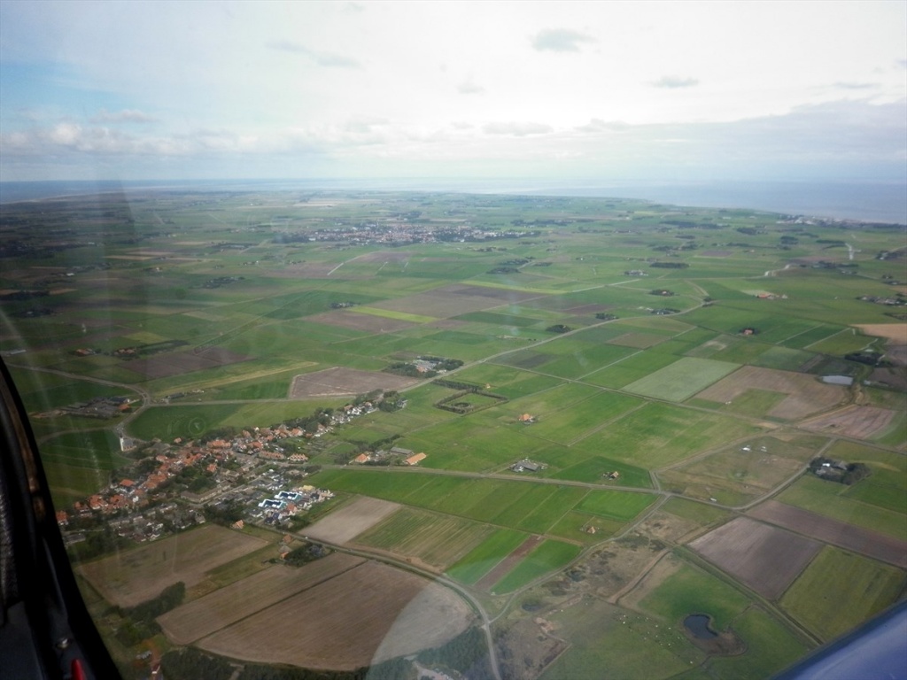 25 Texel
