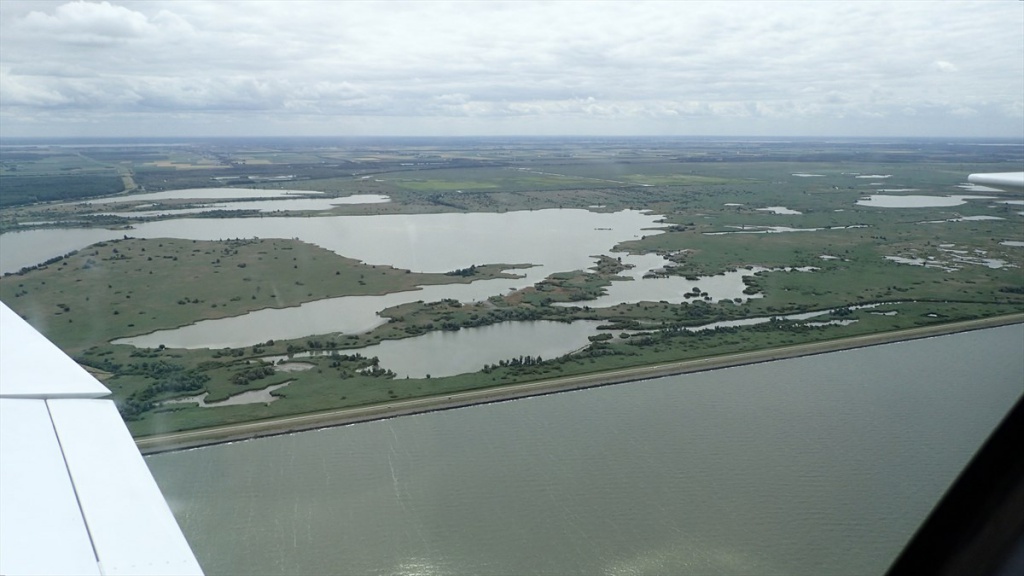 16 Oostvaardersplassen